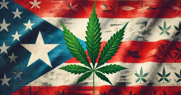 Cannabis in Puerto Rico: Legale Wege und wichtige Hinweise