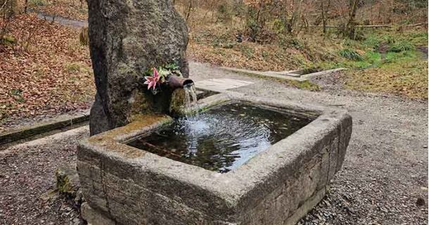 Glasbrunnen: Cannabisurlaub mit Guide im Berner-Oberland