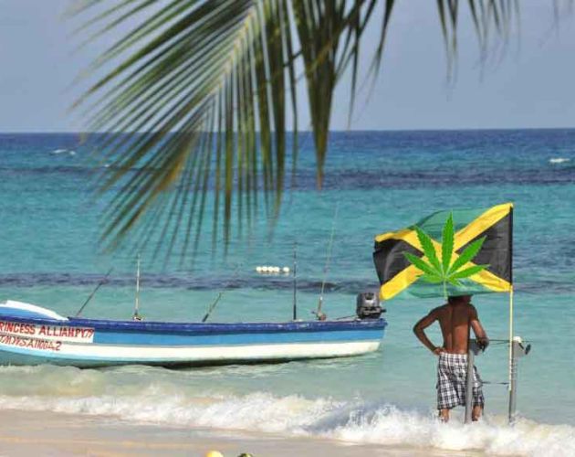 Paradise on the Rocks
