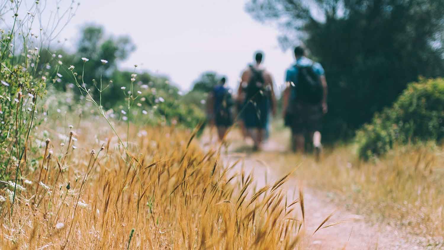 wandern