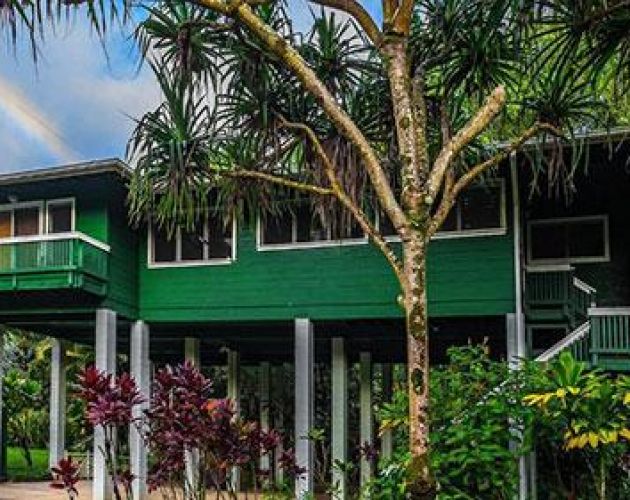Kauai Tree House