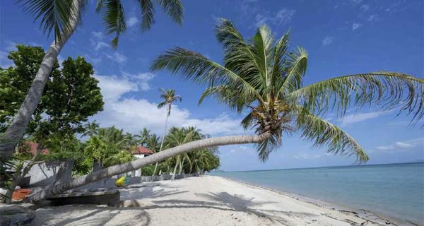 Cannabis Urlaub in Thailand - das "Dream Beach House"