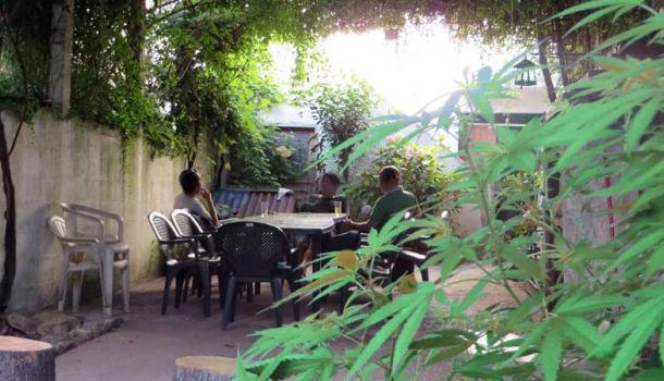 Beach Hostel 420 Santa Maria