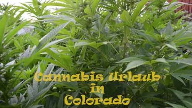 Cannabis Urlaub im Steam Train Hotel