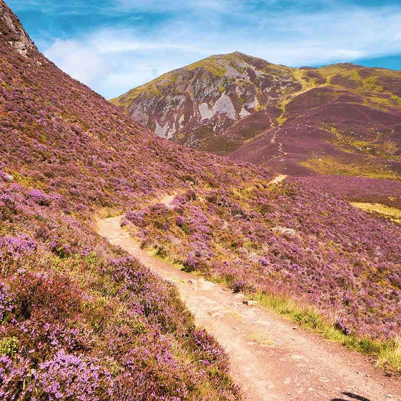 Ben Nevis
