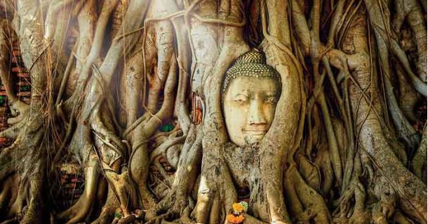 Nord-Thailand Kaleidoskop: Kultur & Natur erleben