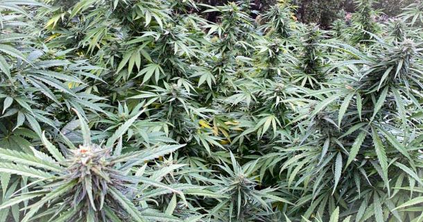 Kultureller Respekt & Sicherheit im Rif-Gebirge