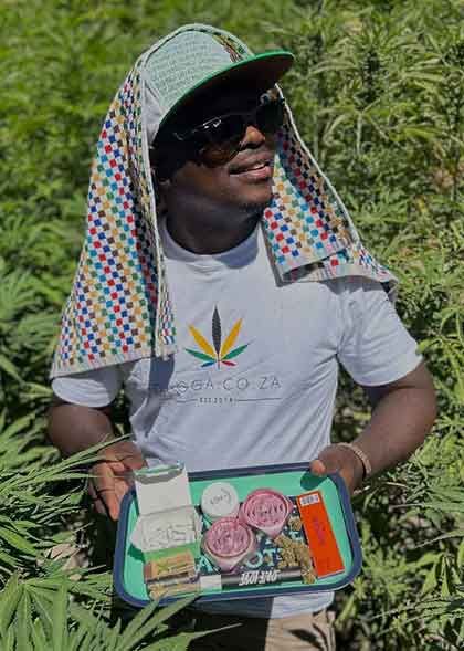 kuda cannabis guide kapstadt