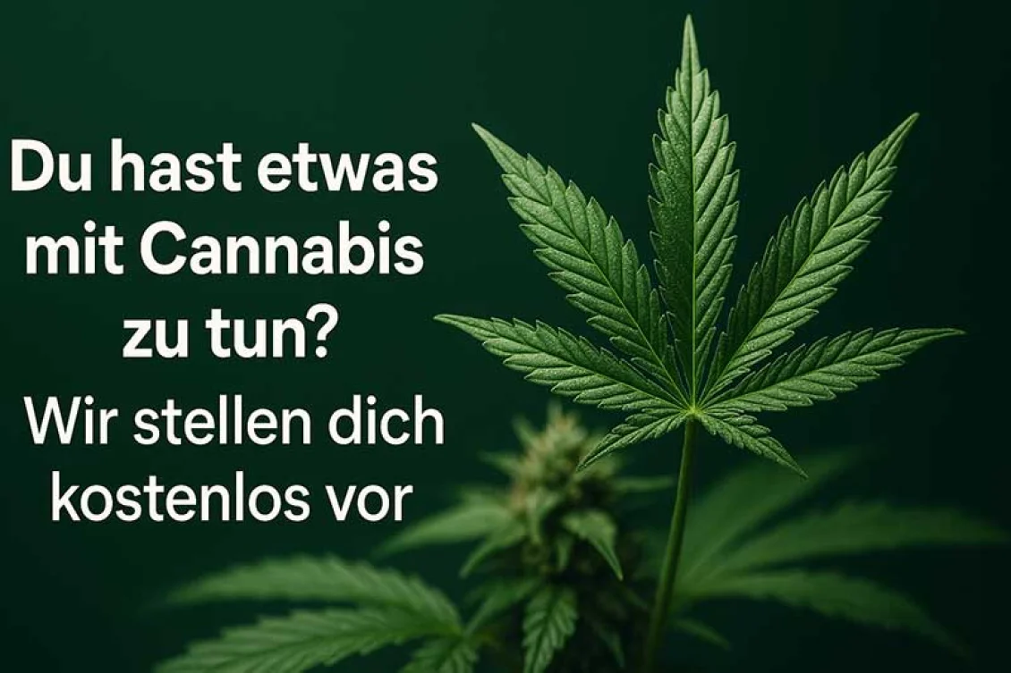 Deine Marke im Fokus – Werbung auf Cannabisurlaub.com
