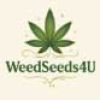 weedseeds4u teneriffa