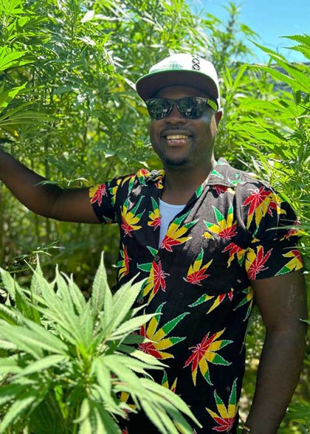 Geführte Cannabis-Anbautouren