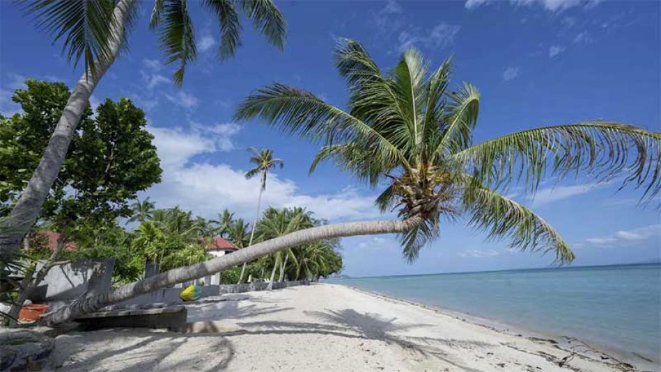 Cannabis Urlaub in Thailand - das "Dream Beach House"