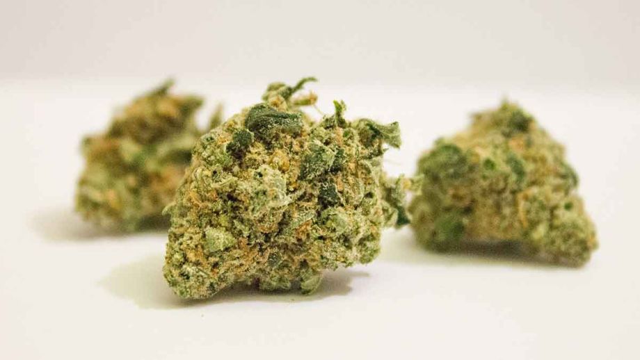 jamaica-weed