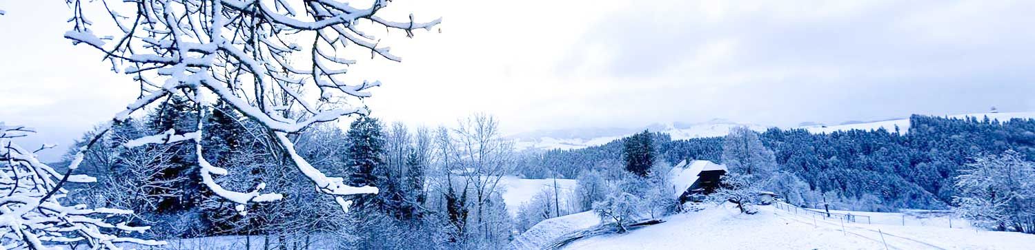 schweiz im winter