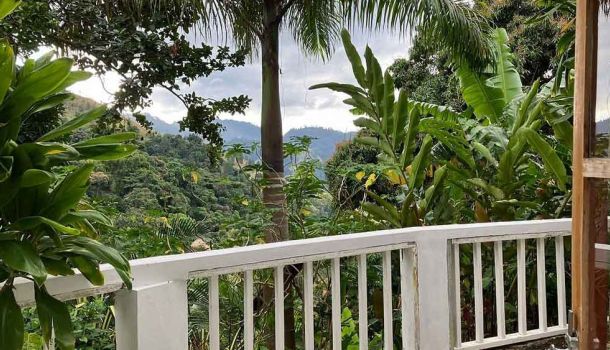 Bluemountview Guesthouse