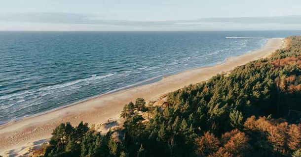 Palanga: Cannabisfreundlich an der Ostsee