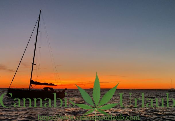 Ab in den Urlaub – Finde deinen perfekten Cannabis-Trip