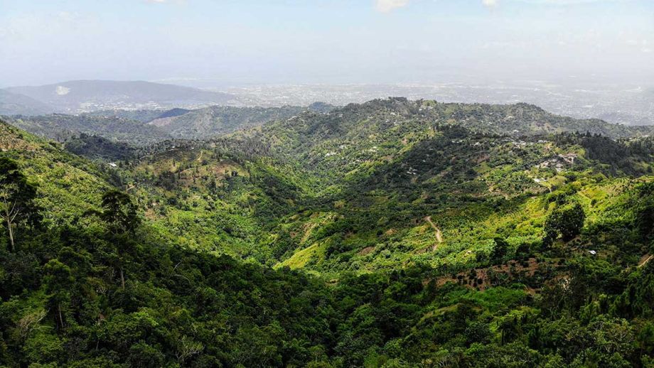 Jamaika Natur