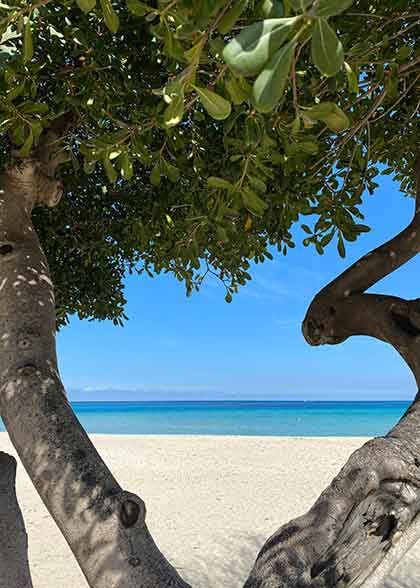 palermo sizilien italien