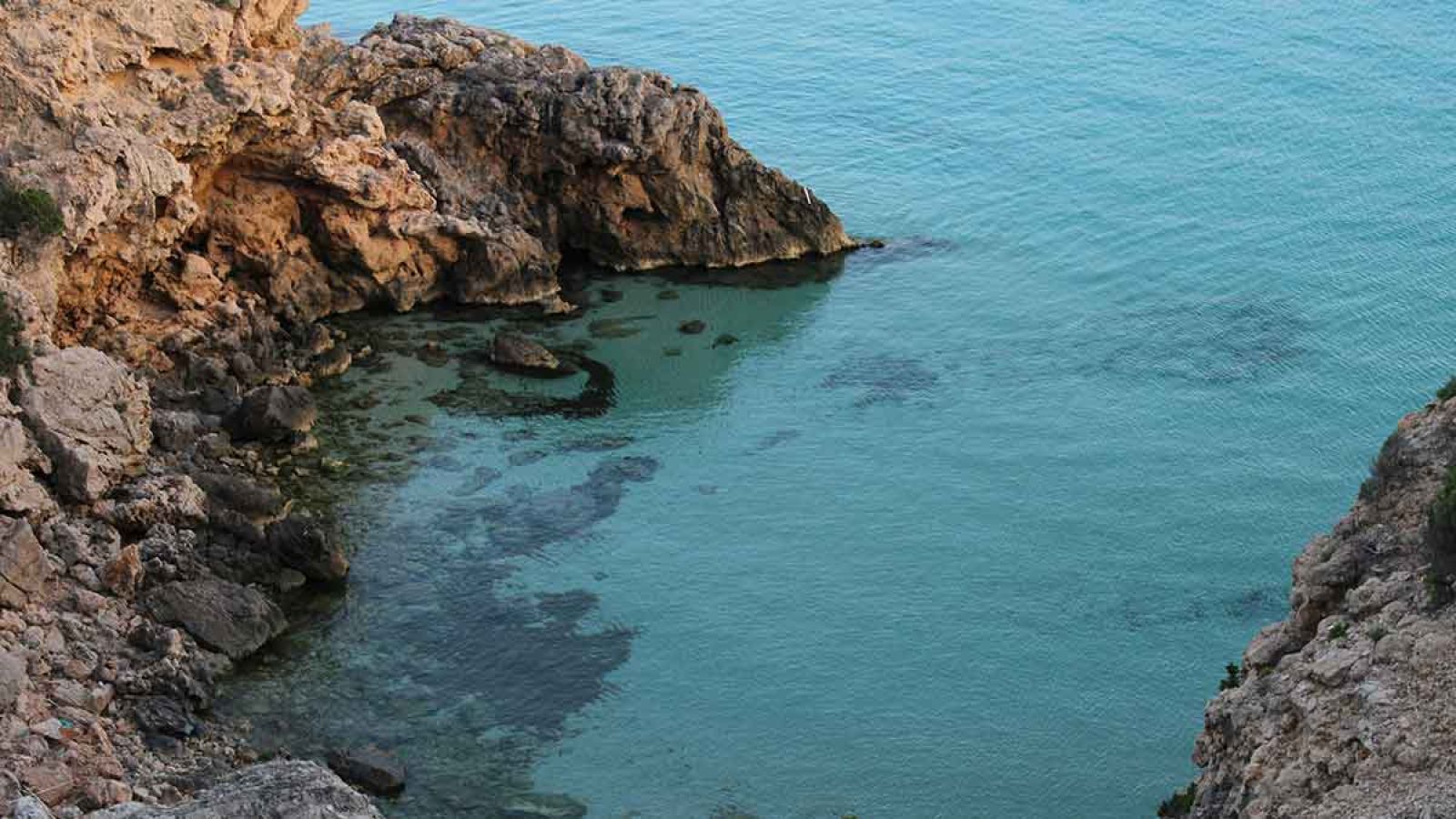 Cala Tarida