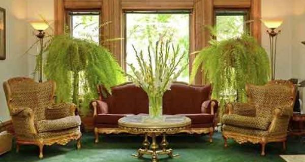 Cannabis Urlaub - Capitol Hill Mansion Bed & Breakfast Inn