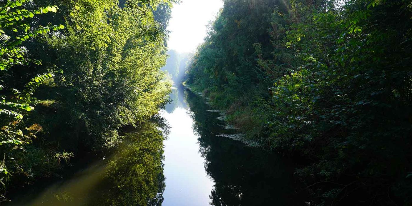 bialowieza