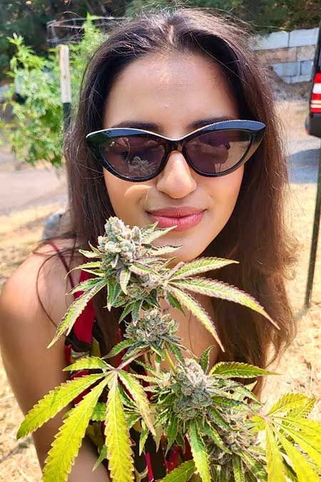 cannabis wein tour san francisco