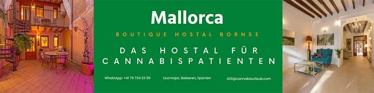 cannabispatienten hostal born53