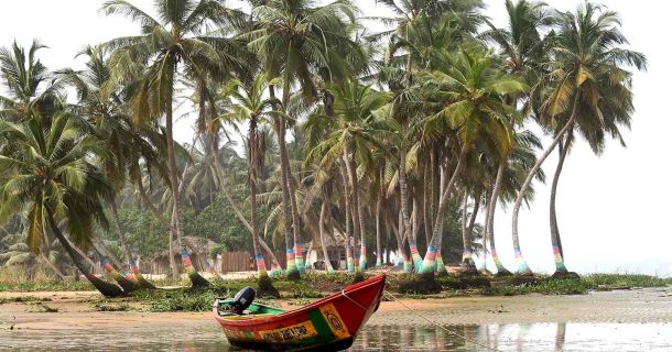 Was Sie über die Legalisierung von Cannabis in Ghana wissen müssen