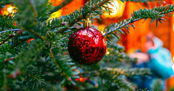 Winterzauber & Cannabis: Dein magischer Dezembertrip