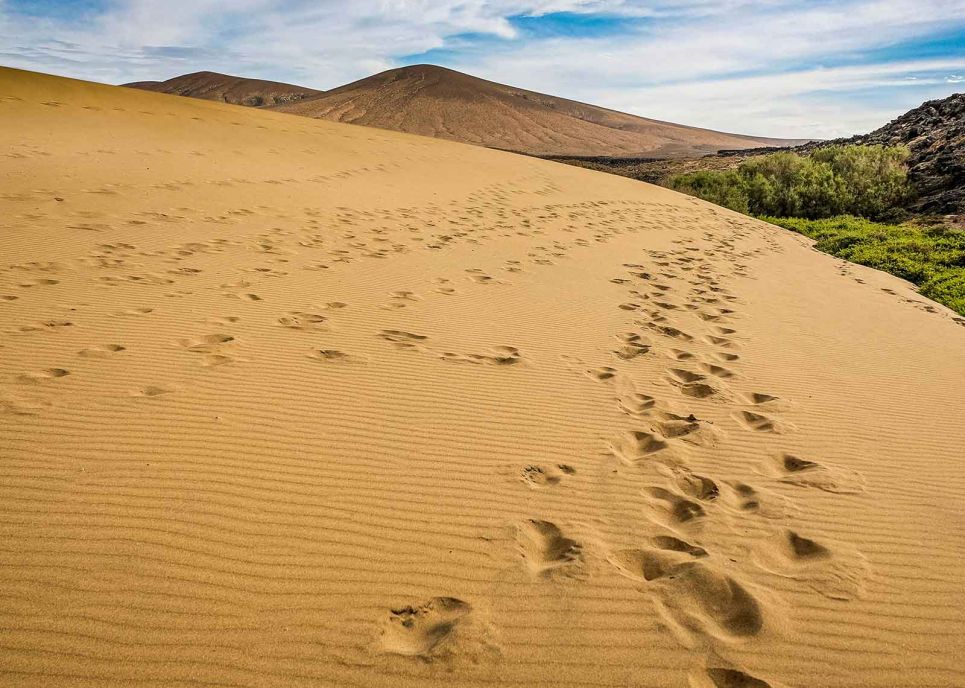 Cannabis Urlaub in Fuerteventura