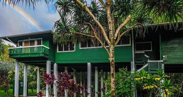 Kauai Tree House