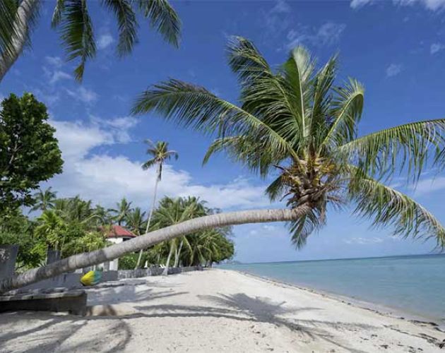Cannabis Urlaub in Thailand - das "Dream Beach House"