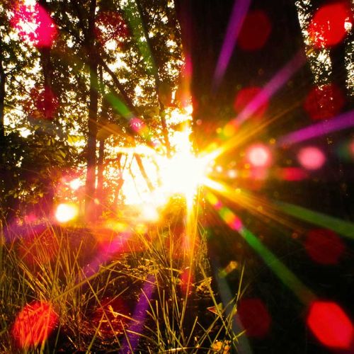 sommersonnenwende