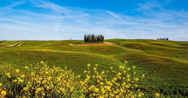 👉 Val d’Orcia: Sanfte Hügel & Weite spüren