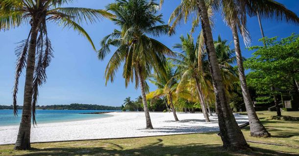 Koh Mak 420 – Dein Cannabisurlaub in Thailand