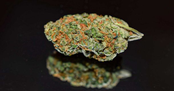 Cannabis frisch halten – Tipps für unterwegs & Reisen