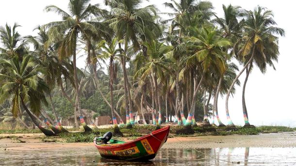 Was Sie über die Legalisierung von Cannabis in Ghana wissen müssen