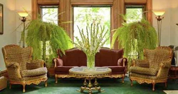 Cannabis Urlaub - Capitol Hill Mansion Bed & Breakfast Inn
