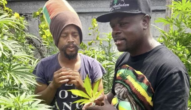 Cannabis-Kulturen der Welt: Eine Entdeckungsreise für Genießer und Abenteurer