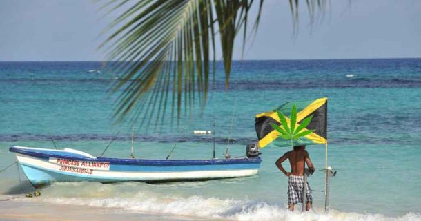 Paradise on the Rocks