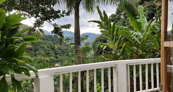 Bluemountview Guesthouse